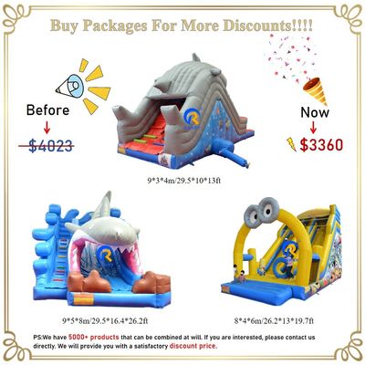 Slide ad acqua gonfiabile personalizzabile con piscina 0,55 mm PVC Tarpaulin Digital Printing