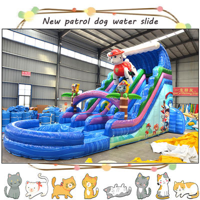 Divertite i bambini con 3D Paw-Patrols Slide d'acqua gonfiabile e piscina Design a doppia corsia