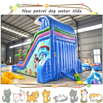Divertite i bambini con 3D Paw-Patrols Slide d'acqua gonfiabile e piscina Design a doppia corsia