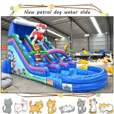 Divertite i bambini con 3D Paw-Patrols Slide d'acqua gonfiabile e piscina Design a doppia corsia
