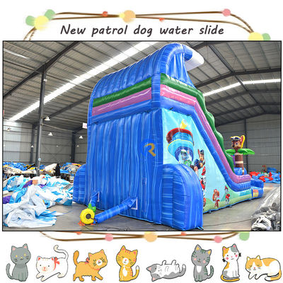 Divertite i bambini con 3D Paw-Patrols Slide d'acqua gonfiabile e piscina Design a doppia corsia