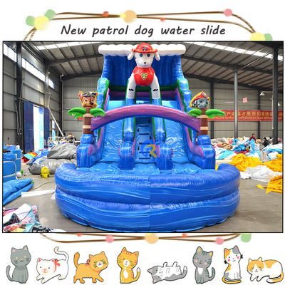 Divertite i bambini con 3D Paw-Patrols Slide d'acqua gonfiabile e piscina Design a doppia corsia