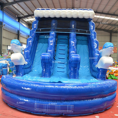 Grandi bambini gonfiabile a acqua doppio scivolo N scivolo con stampa digitale e soffiatore