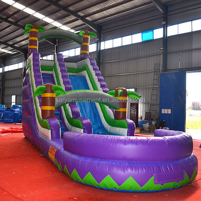 5 - 10 passeggeri Capacità 29 piedi Slide idraulico gonfiabile con piscina CE/EN71/EN14960 Omologato