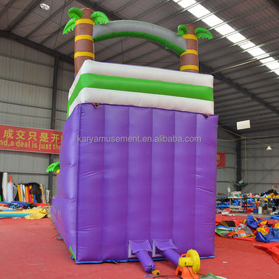 5 - 10 passeggeri Capacità 29 piedi Slide idraulico gonfiabile con piscina CE/EN71/EN14960 Omologato