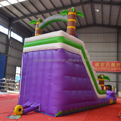 5 - 10 passeggeri Capacità 29 piedi Slide idraulico gonfiabile con piscina CE/EN71/EN14960 Omologato