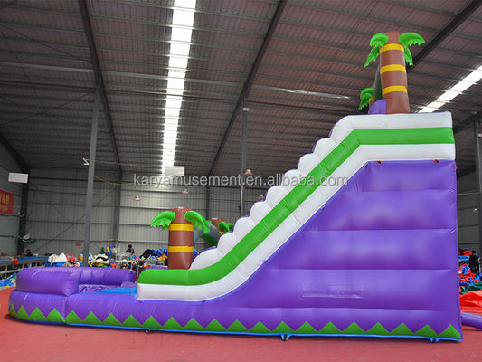 5 - 10 passeggeri Capacità 29 piedi Slide idraulico gonfiabile con piscina CE/EN71/EN14960 Omologato