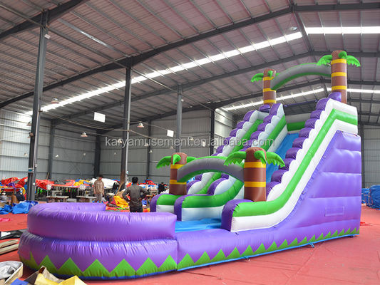5 - 10 passeggeri Capacità 29 piedi Slide idraulico gonfiabile con piscina CE/EN71/EN14960 Omologato