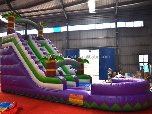 5 - 10 passeggeri Capacità 29 piedi Slide idraulico gonfiabile con piscina CE/EN71/EN14960 Omologato