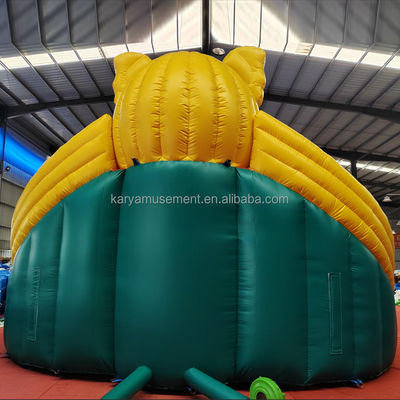 Colorato su misura PVC tema elefante gonfiabile parco acquatico combo scivolo per il parco giochi
