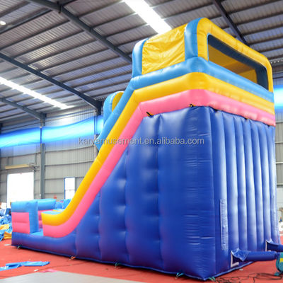 Stampa digitale di qualità commerciale PVC Parco acquatico scivolo d'acqua a due corsie per adulti e bambini