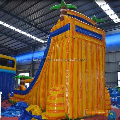 Certificato di colore personalizzato CE/EN71/EN14960 Scivolo gonfiabile per salto in acqua con piscina