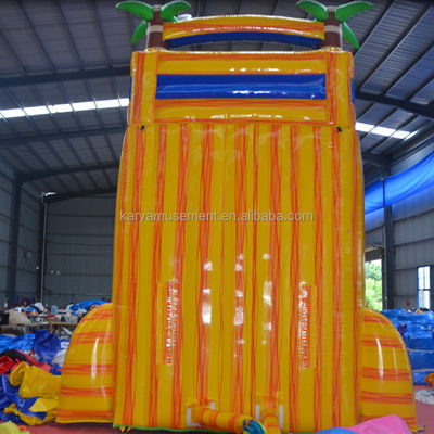 Certificato di colore personalizzato CE/EN71/EN14960 Scivolo gonfiabile per salto in acqua con piscina