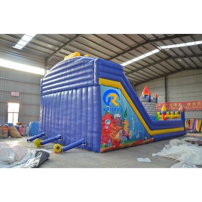 Parco giochi blu gonfiabile castello a ripresa per bambini OEM accettato classico disegno animato