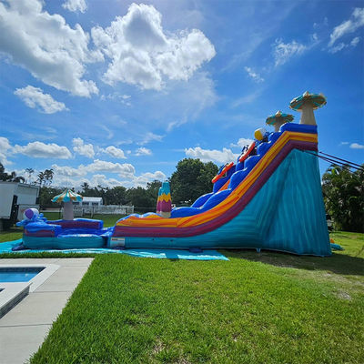 Giochi di scivoli d'acqua di colore oceanico stimolanti PVC gonfiabile con grande piscina a forma di fiore