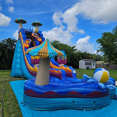 Giochi di scivoli d'acqua di colore oceanico stimolanti PVC gonfiabile con grande piscina a forma di fiore