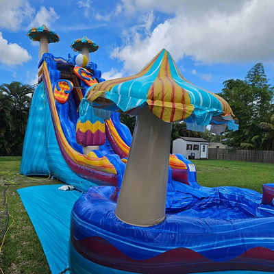 Giochi di scivoli d'acqua di colore oceanico stimolanti PVC gonfiabile con grande piscina a forma di fiore