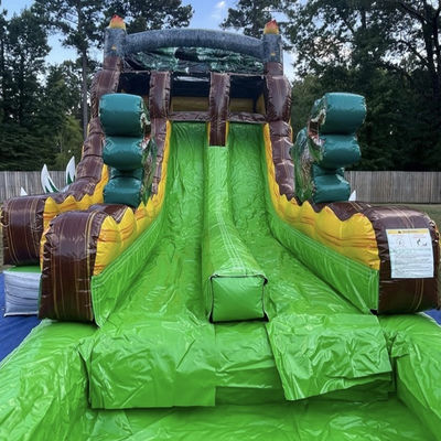 Lasciate andare la vostra immaginazione Giungla tropicale Dino tema scivolo d'acqua con Splash Pool Fun