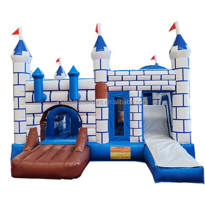 Commercial PVC Bouncy Castle Combo con Slide Unisex Castello Blu e Bianco Parco giochi