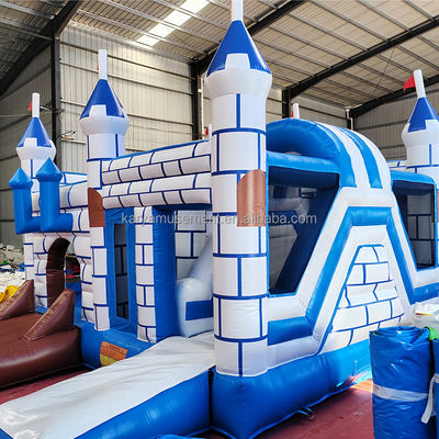 Commercial PVC Bouncy Castle Combo con Slide Unisex Castello Blu e Bianco Parco giochi