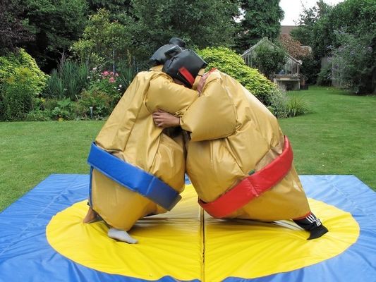 Accessori di riparazione di soffiatori CE inclusi abiti da wrestling colorati per bambini e adulti