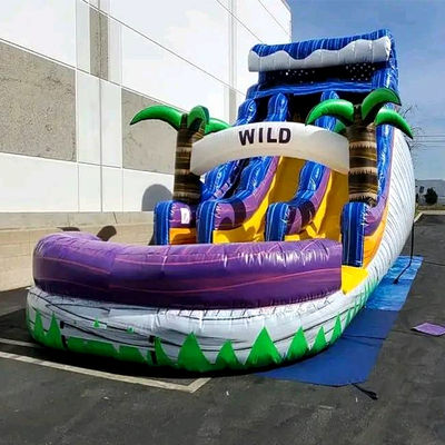 Grande piscina bambini rimbalzo scivolo casa festa commerciale palme tropicali scivolo d'acqua con due scivolo n
