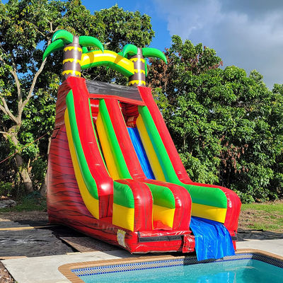 Scivolo d'acqua in PVC in cortile di un palmare tropicale con piscina staccabile e stampa digitale