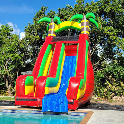 Scivolo d'acqua in PVC in cortile di un palmare tropicale con piscina staccabile e stampa digitale