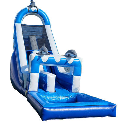 0.55mm PVC Tarpaulin Grande Dolphin Tematico Inflatabile scivolo d'acqua con piscina staccabile