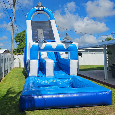0.55mm PVC Tarpaulin Grande Dolphin Tematico Inflatabile scivolo d'acqua con piscina staccabile