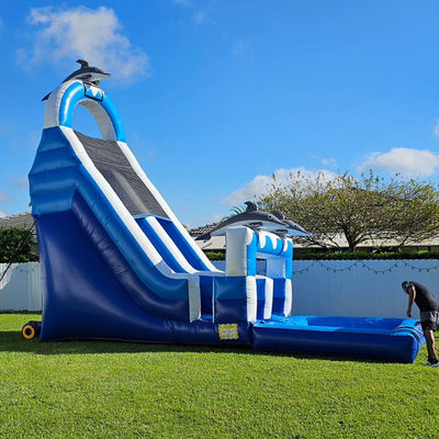 0.55mm PVC Tarpaulin Grande Dolphin Tematico Inflatabile scivolo d'acqua con piscina staccabile