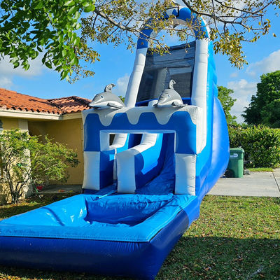 0.55mm PVC Tarpaulin Grande Dolphin Tematico Inflatabile scivolo d'acqua con piscina staccabile