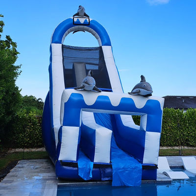 0.55mm PVC Tarpaulin Grande Dolphin Tematico Inflatabile scivolo d'acqua con piscina staccabile