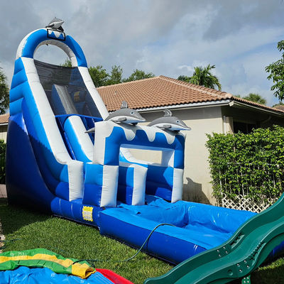 0.55mm PVC Tarpaulin Grande Dolphin Tematico Inflatabile scivolo d'acqua con piscina staccabile