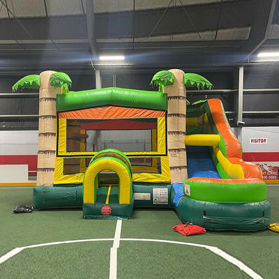 Caratteristiche PORTABLE Castello gonfiabile Palm Tree Bounce House con scivolo e piccola piscina