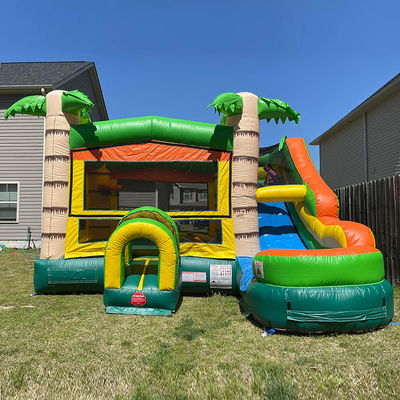 Caratteristiche PORTABLE Castello gonfiabile Palm Tree Bounce House con scivolo e piccola piscina
