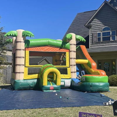 Caratteristiche PORTABLE Castello gonfiabile Palm Tree Bounce House con scivolo e piccola piscina