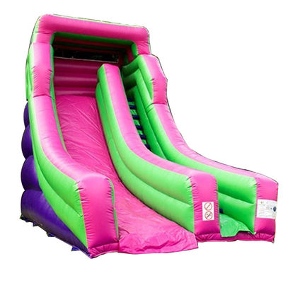 Grande scivolo gonfiabile a secco in colore personalizzato per occasioni commerciali al parco acquatico