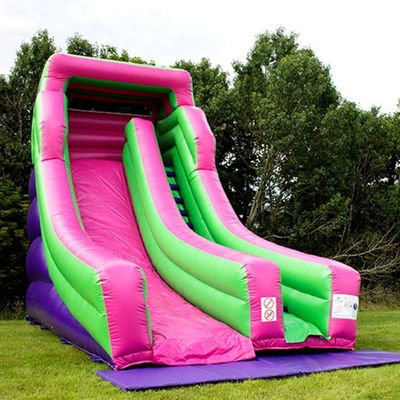 Grande scivolo gonfiabile a secco in colore personalizzato per occasioni commerciali al parco acquatico