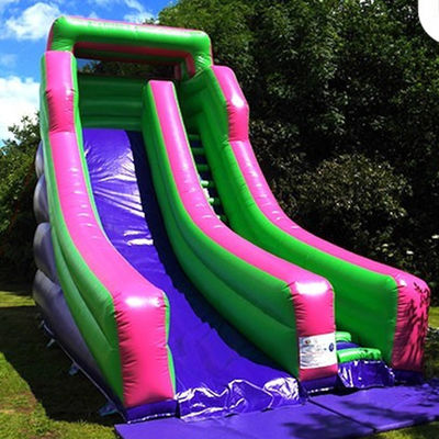 Grande scivolo gonfiabile a secco in colore personalizzato per occasioni commerciali al parco acquatico