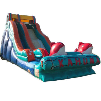 0.55mm PVC Tarpaulin Red Carp Tematica Slide d'acqua gonfiabile con scivolo largo e scivolo