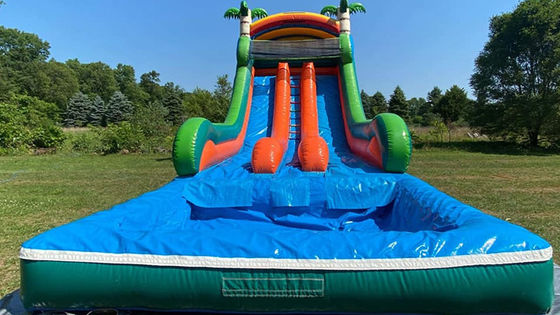 Capacità massima 100-500 kg Parco acquatico gonfiabile a doppia corsia con piscina e scivolo a palma