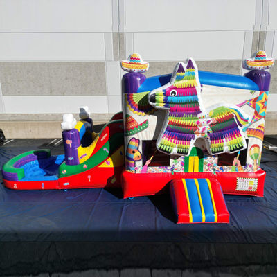 PORTABLE PVC Rainbow Puppy Casa gonfiabile con scivolo Combo Pool Jumpers Castello