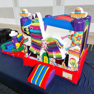 PORTABLE PVC Rainbow Puppy Casa gonfiabile con scivolo Combo Pool Jumpers Castello