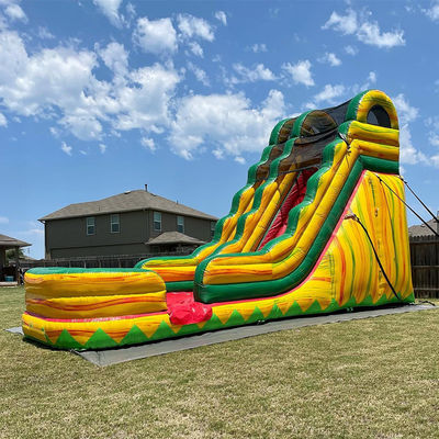Dimensione adulta Commerciale PVC Jungle Symphony Scivolo d'acqua gonfiabile con piscina