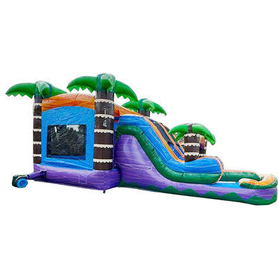 Palme Castello rimbalzante con scivolo PVC Casa rimbalzante gonfiabile e accessori