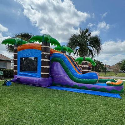 Palme Castello rimbalzante con scivolo PVC Casa rimbalzante gonfiabile e accessori