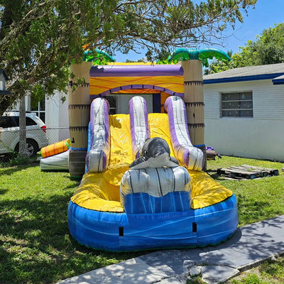 Unisex 27FT Commercial PVC Sun Castle con Slide Inflatable Bouncy Castle e Dual Lane Pool