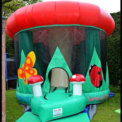 Piccola casa di funghi in PVC commerciale castello casa gonfiabile a rimbalzo da 14 anni