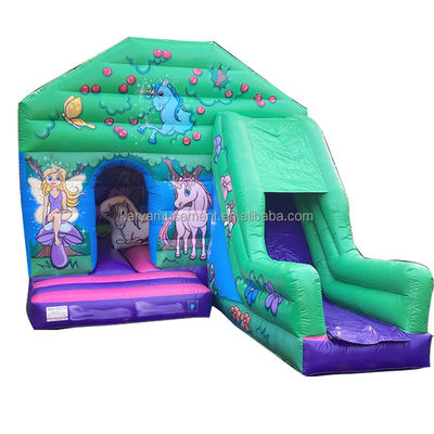 Vivi l' emozione del castello gonfiabile commerciale con scivolo d'acqua per la festa in famiglia